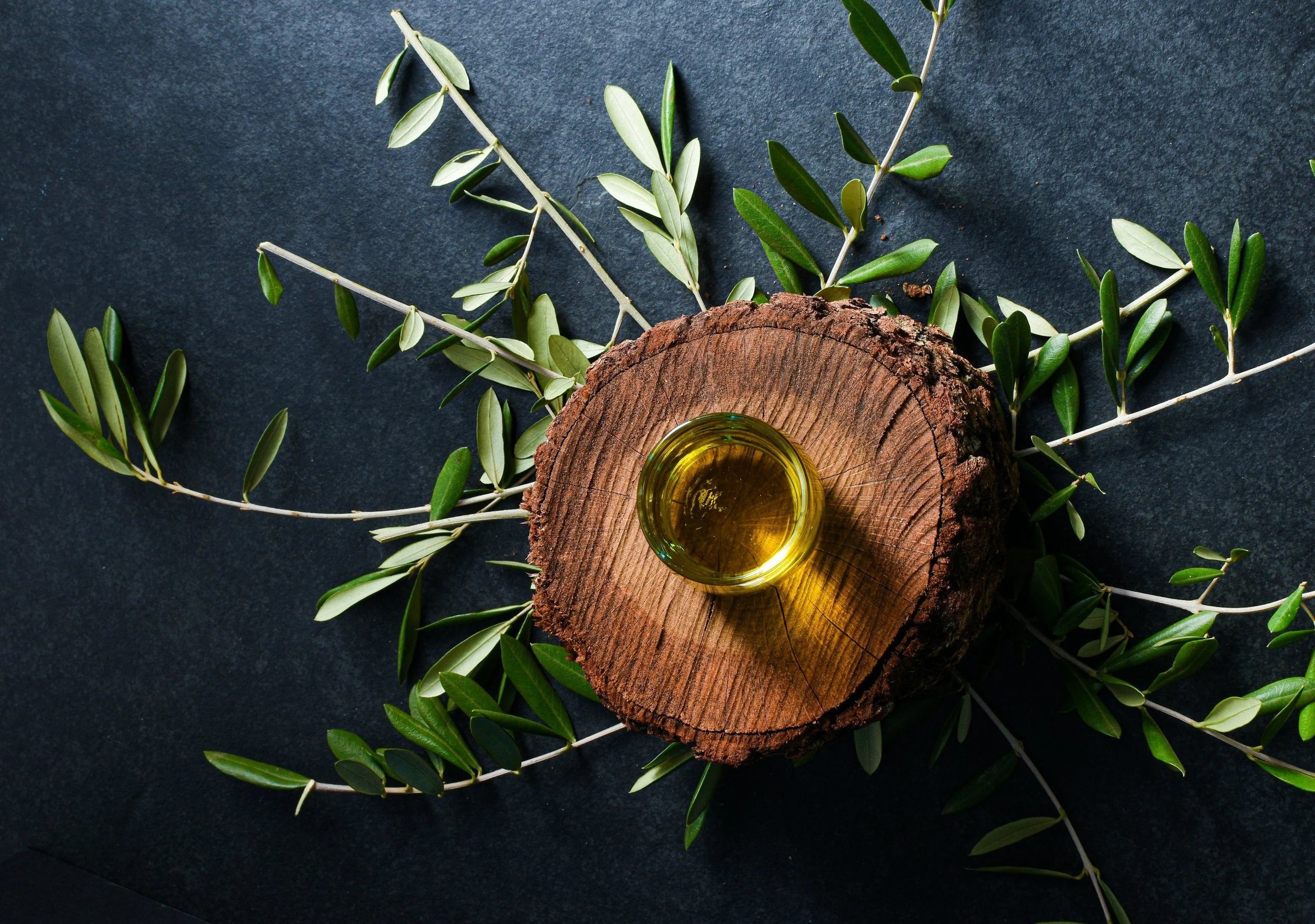 Small glass bowl of golden olive oil on a rustic wood slice, surrounded by olive branches on a dark background
