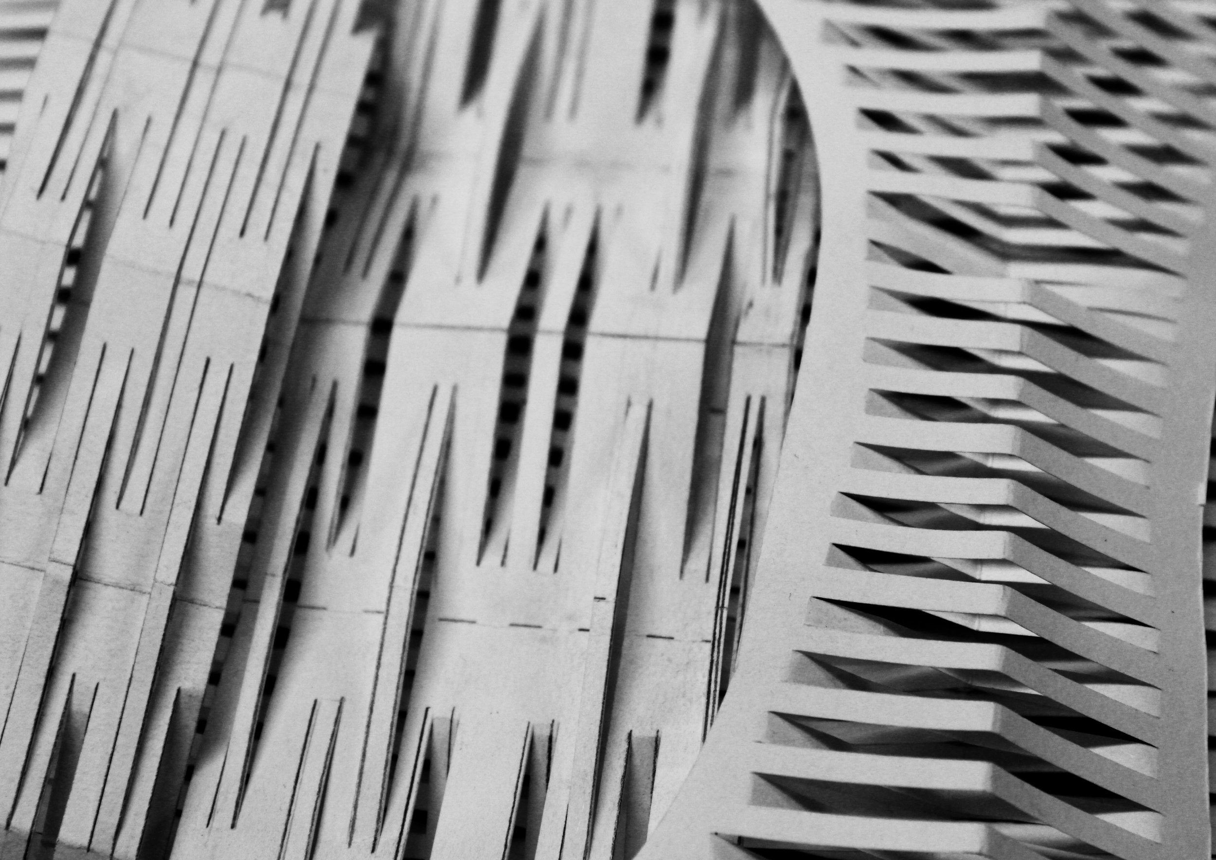 Photograph and project by MSA Events 2013, Tectonic Bodies