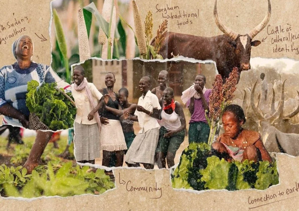 Image created by MSA Live Group 26 ‘Learning with Loreto’ https://live.msa.ac.uk/2021/group/15/