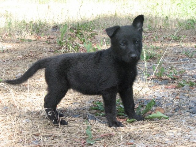 Esi_5weeks1+(640x480).jpg