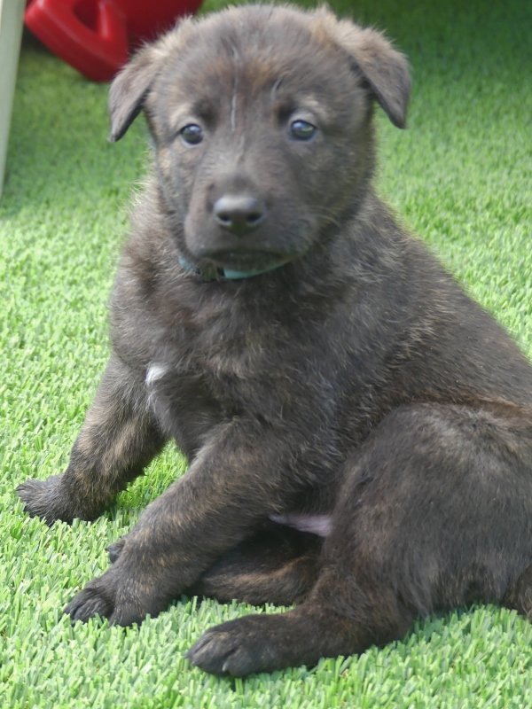 Teal_33days (600x800).jpg