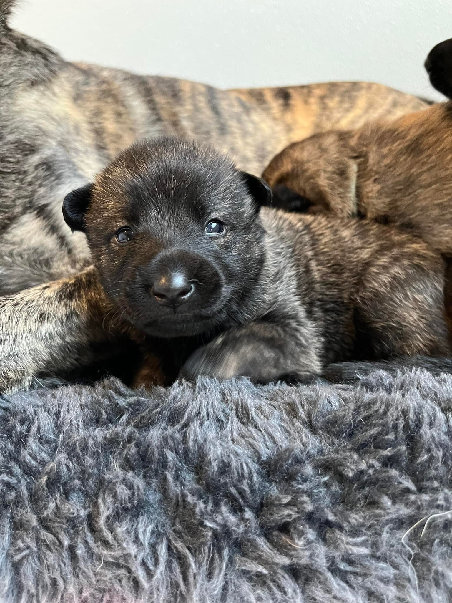 Violet_2weeks.jpg