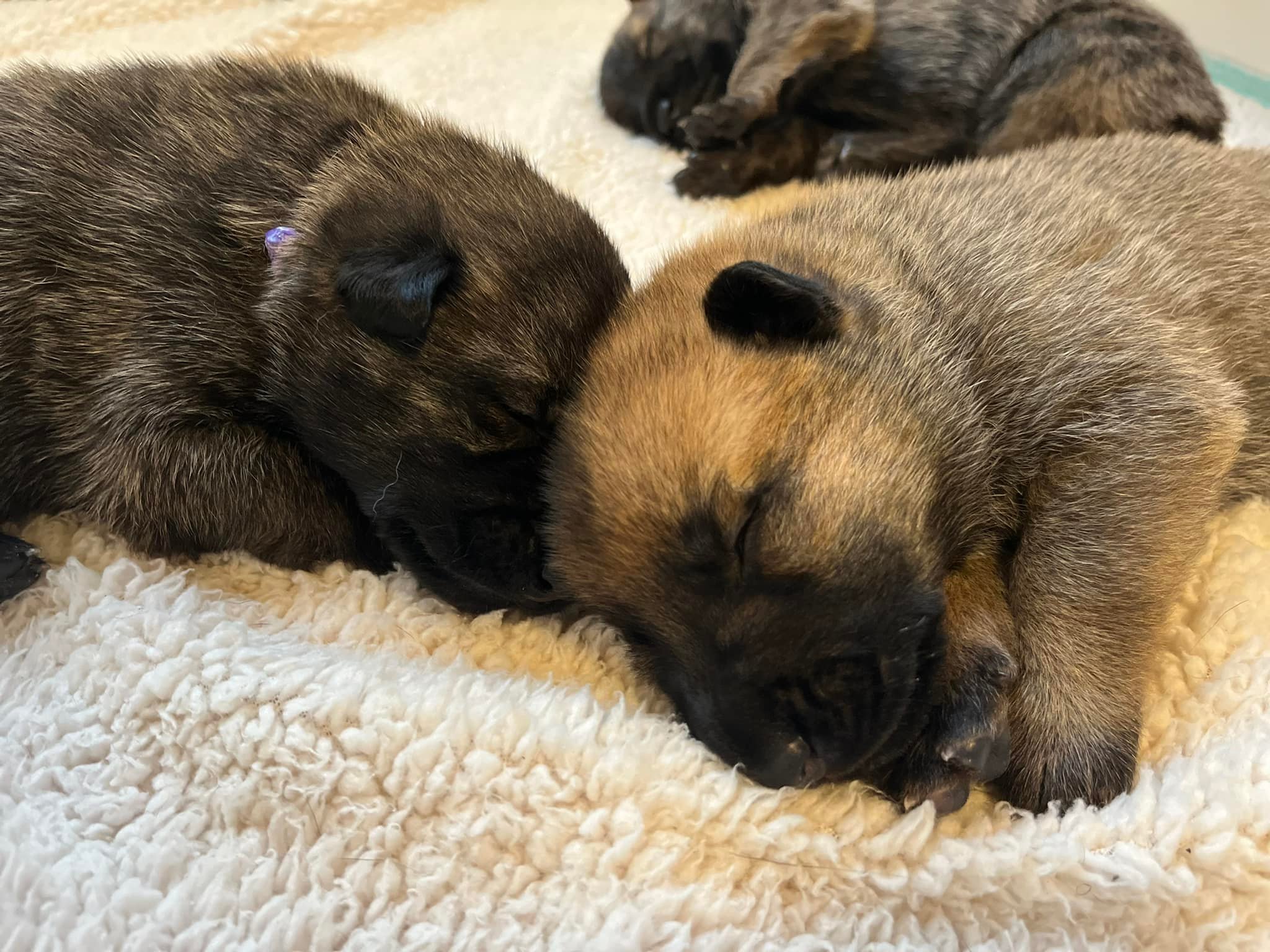 Nacho_2weeks.jpg