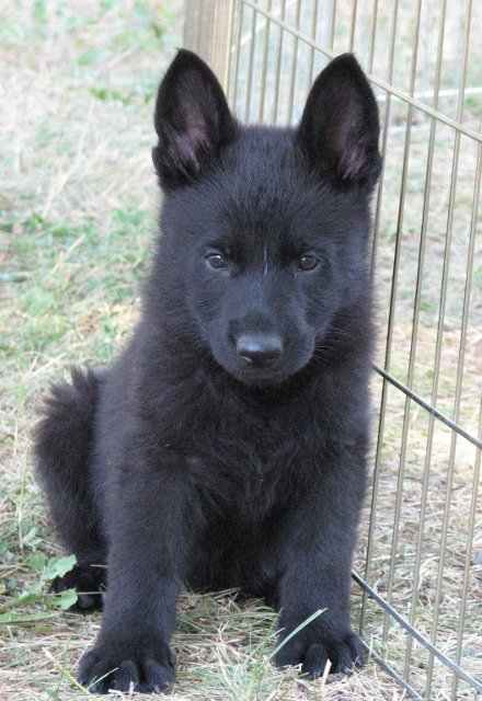 Eri_6weeks2+(440x640).jpg