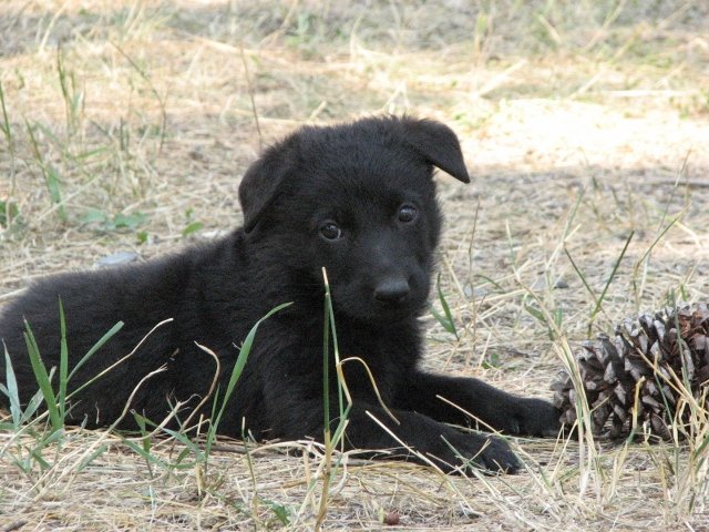 Eva_6weeks2+(640x480).jpg