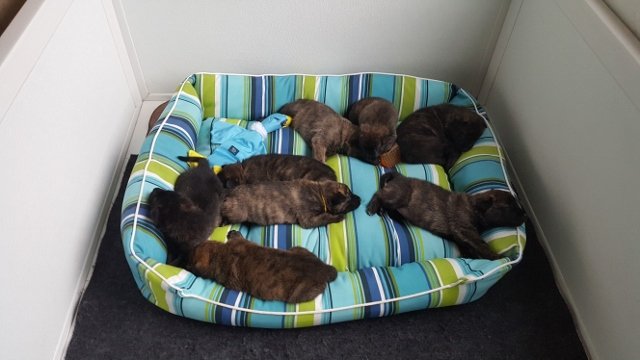 Jlitter_bed (640x360).jpg
