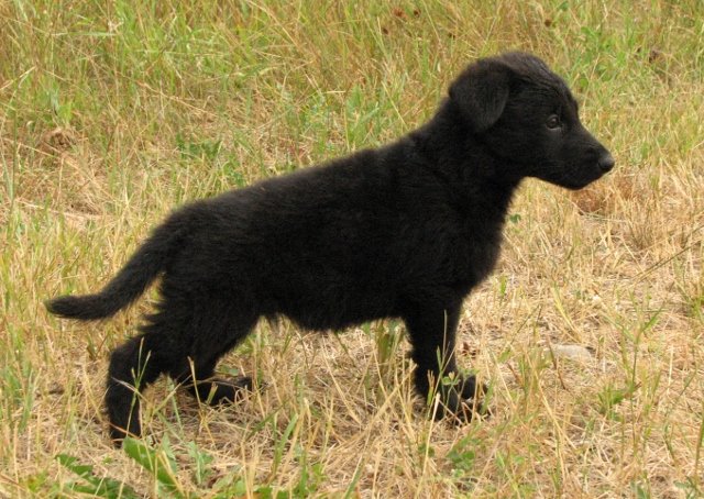 Eva_6weeks1+(640x454).jpg