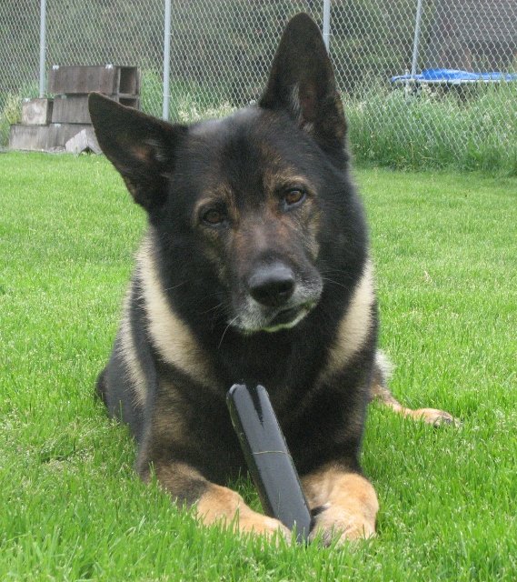 Eukahn_front+(569x640).jpg