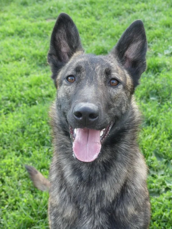 Keres_1.5years1 (600x800).jpg