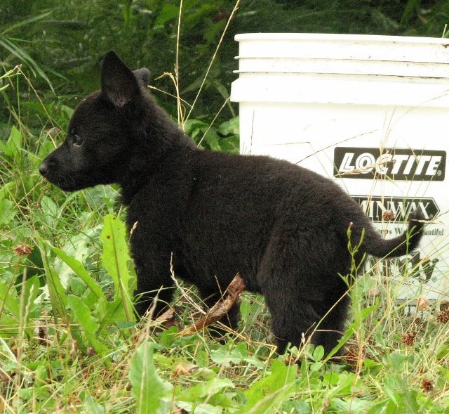Elke_6weeks1+(640x589).jpg
