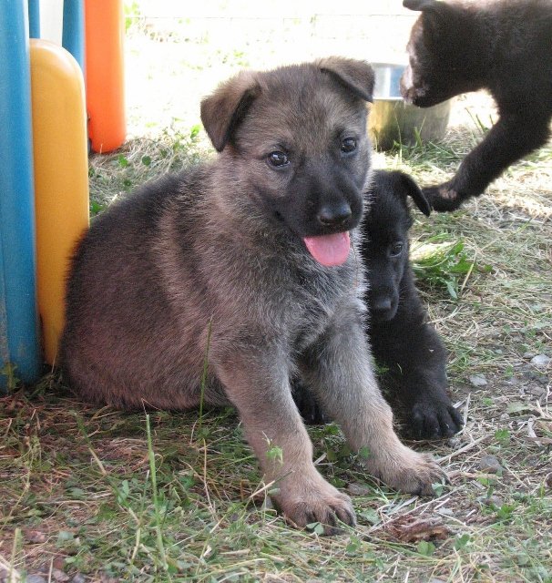 Emma_5weeks2+(606x640).jpg