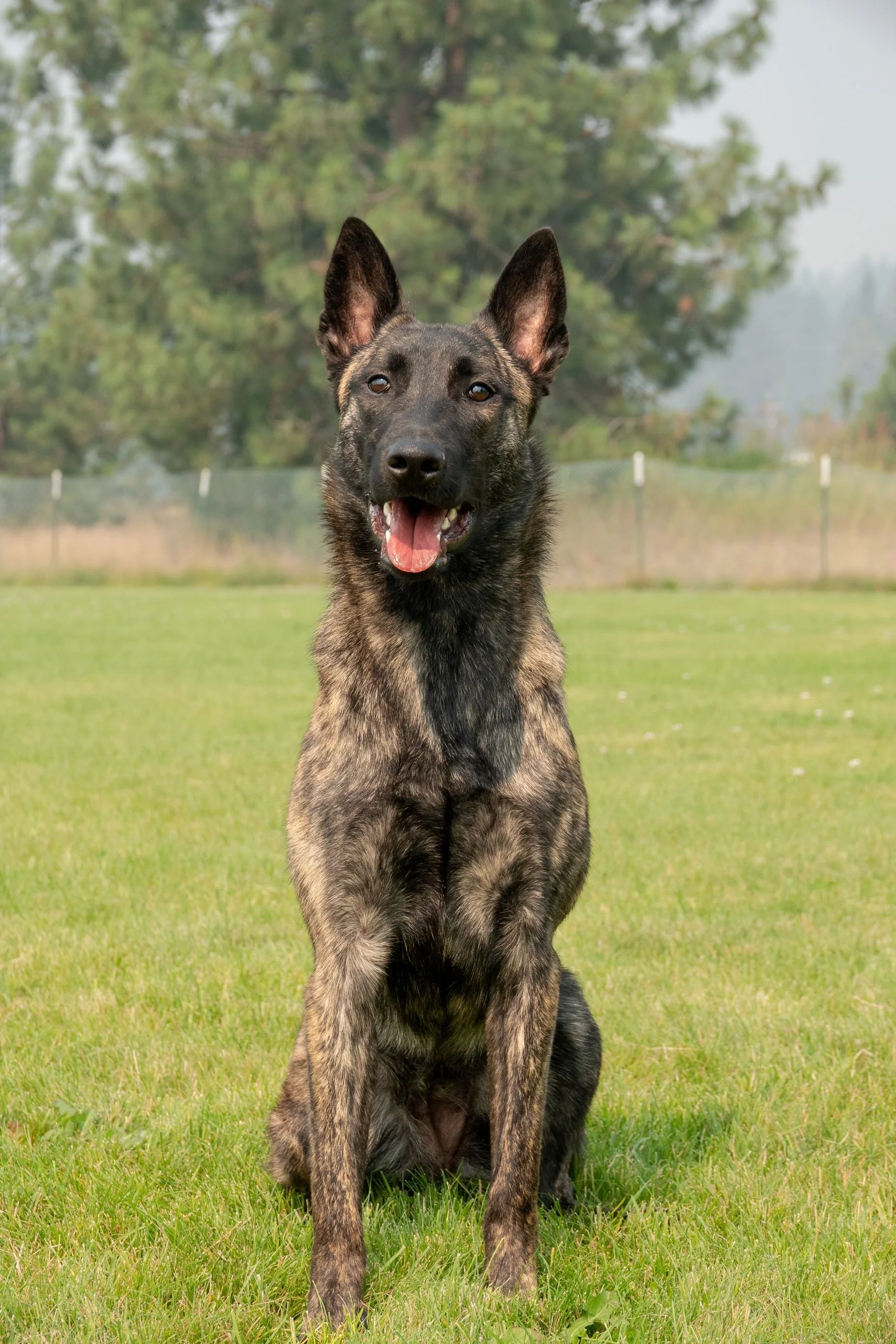 Tora 11 months 3.jpg