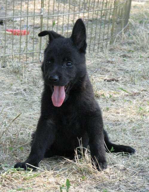 Elke_6weeks3+(499x640).jpg