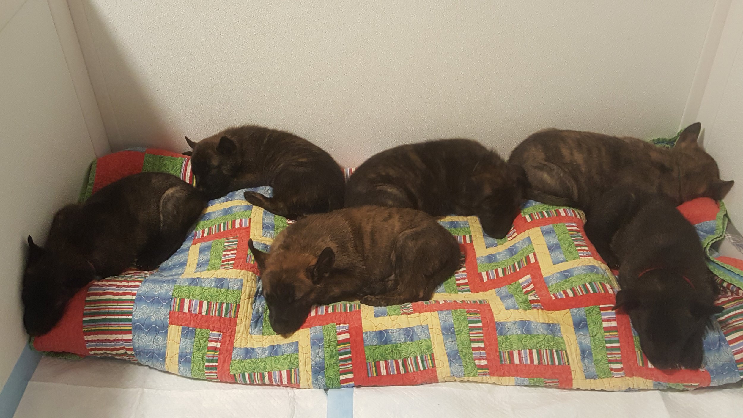 Jlitter_4.5weeks_sleeping.jpg