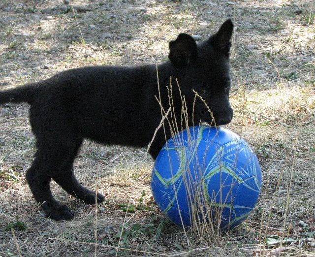Esi_6weeks3+(640x522).jpg