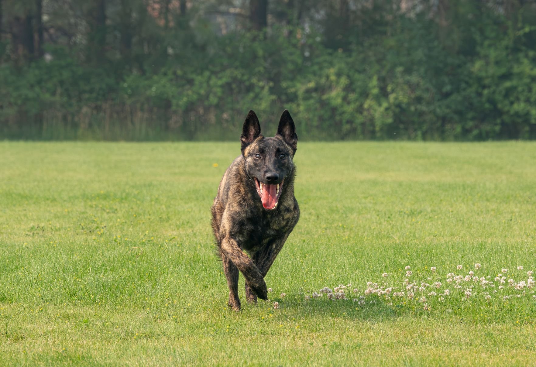 Tora 11 months 6.jpg