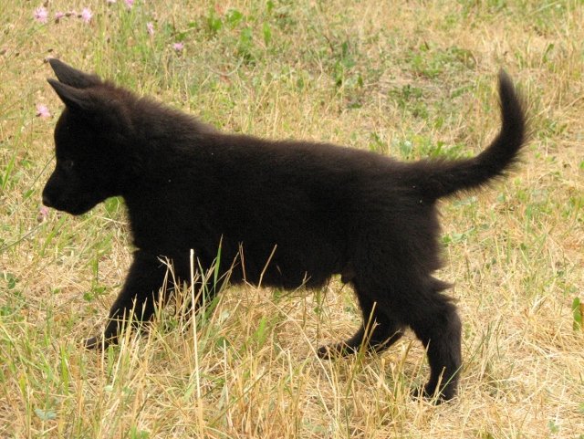 Eri_6weeks1+(640x481).jpg