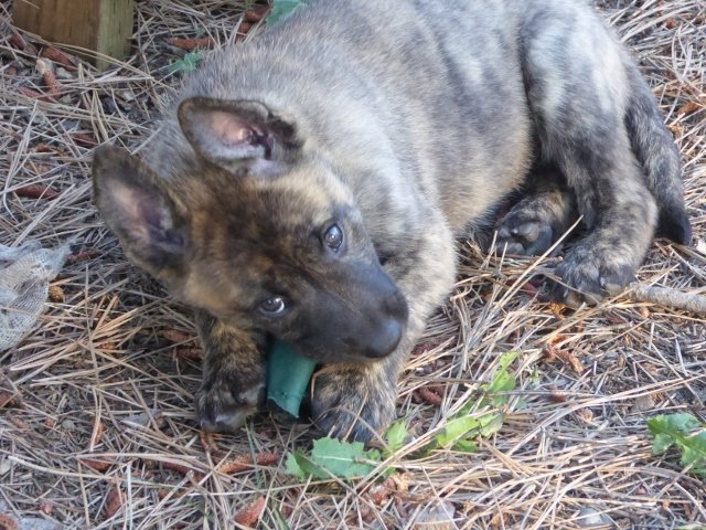 Jones - 6 weeks.jpg