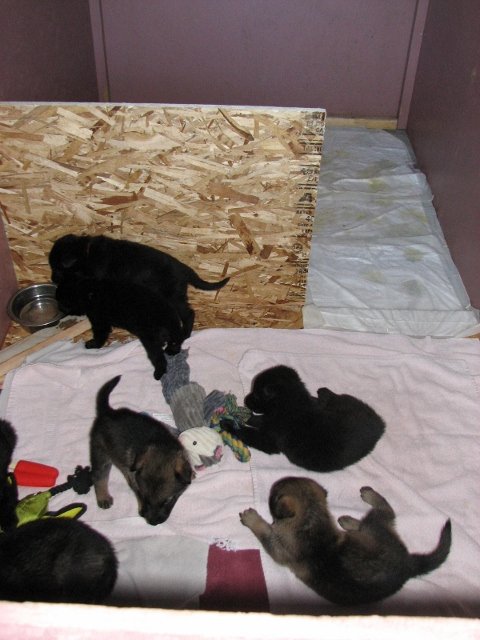Nursery1+(480x640).jpg
