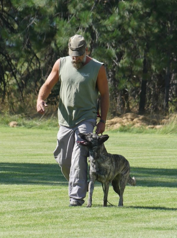 Craig_Alle_heeling (597x800).jpg