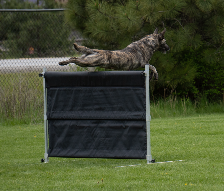 Alle_hurdle.png