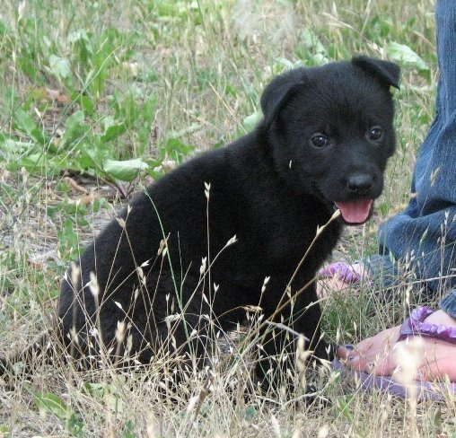 Elke_5weeks1+(640x619).jpg