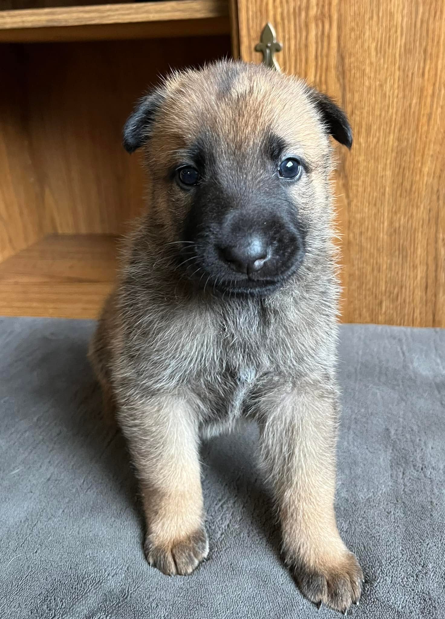Nacho_4weeks.jpg