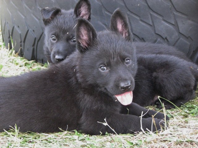 Eri_5weeks4+(640x480).jpg