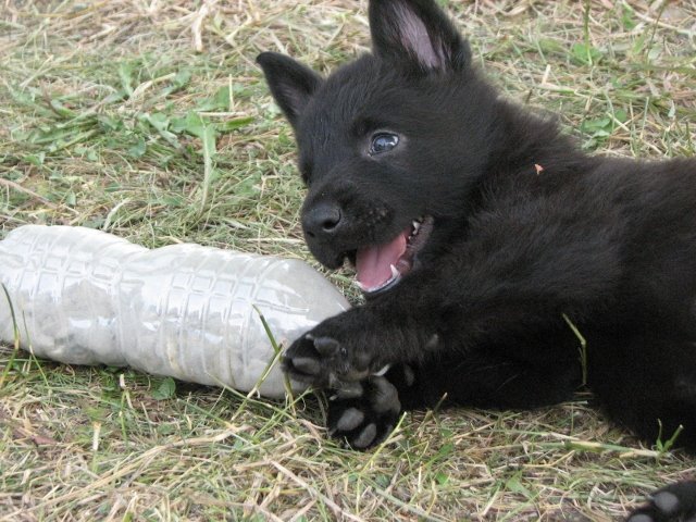 Eri_5weeks2+(640x480).jpg