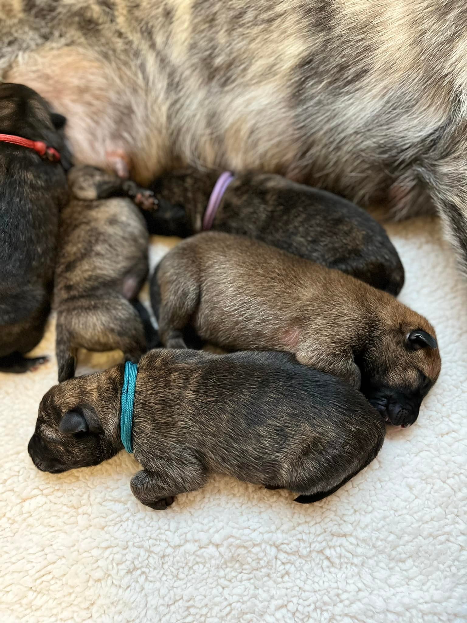 Nacho_day1.jpg