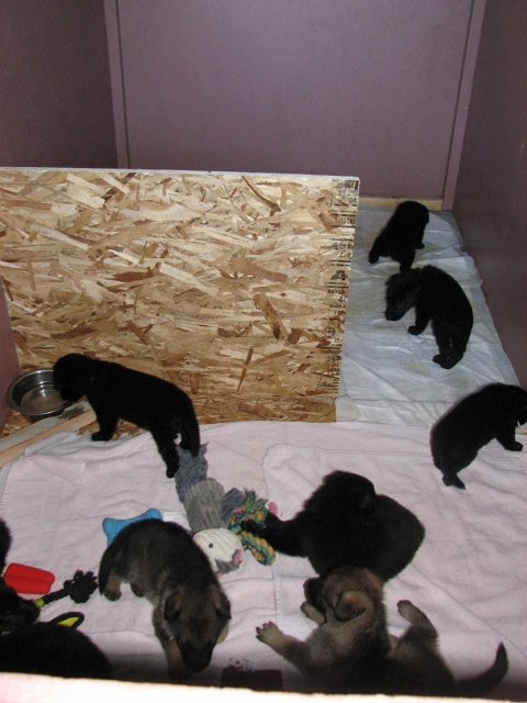 nursery2+(480x640).jpg