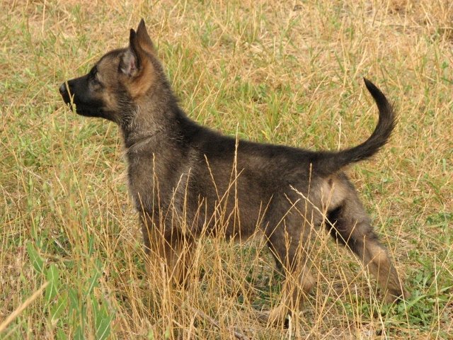 Eula_6weeks1+(640x480).jpg