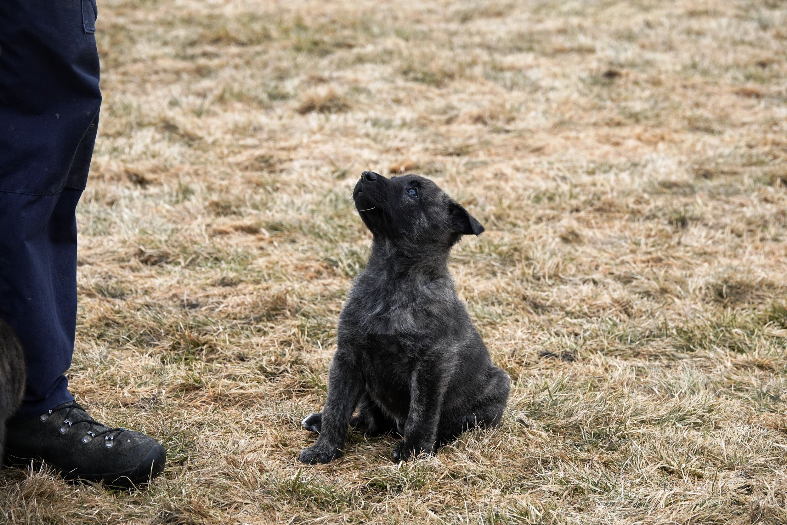 Green_5weeks7_sm.jpg