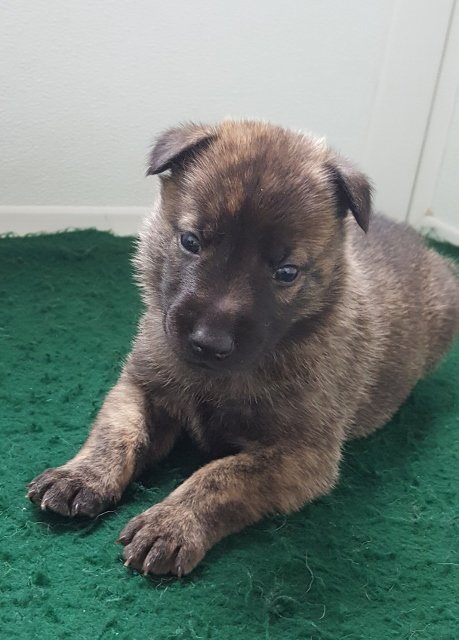 Jones - 3 weeks.jpg