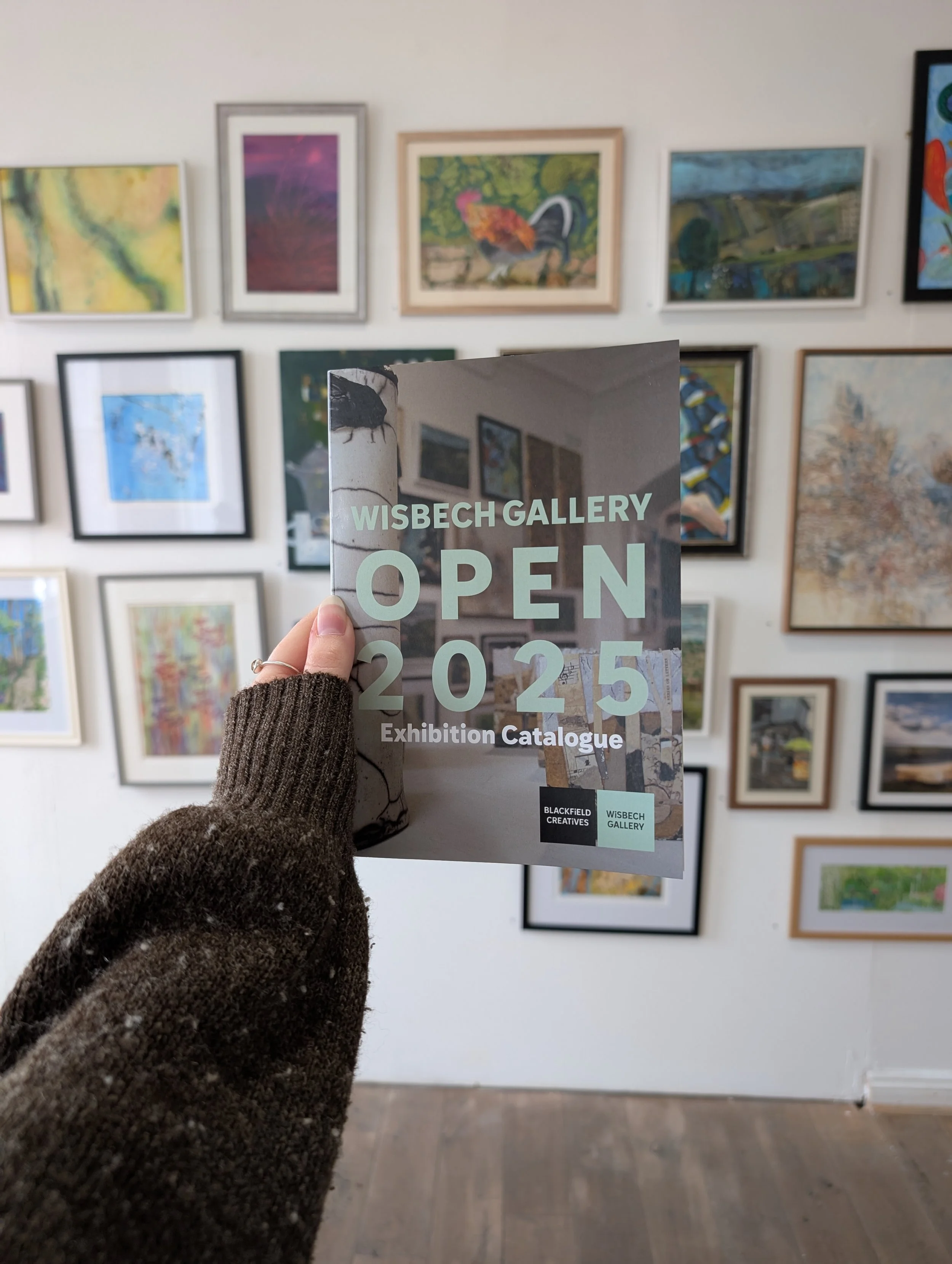 Wisbech Gallery Open 25 Catalogue