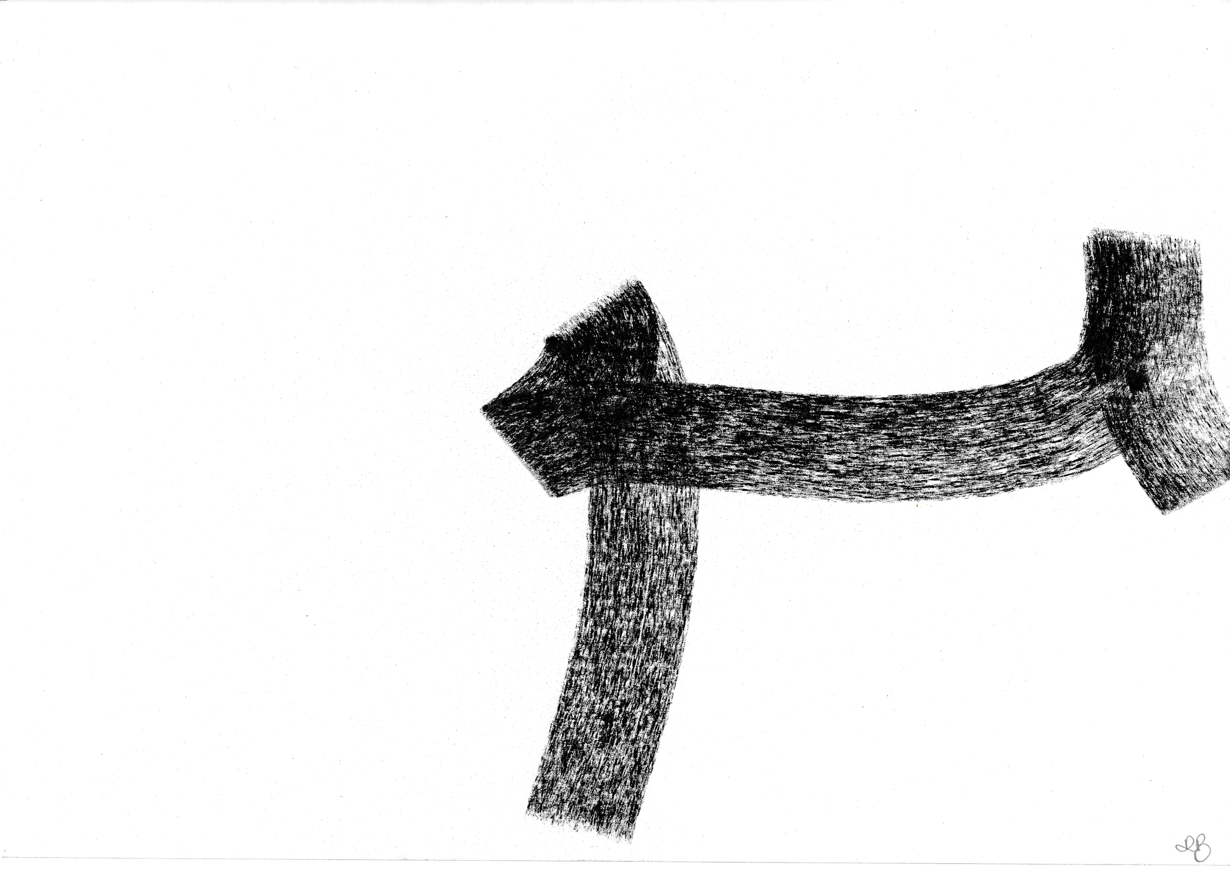 Flight Path 01 (Pigeon)