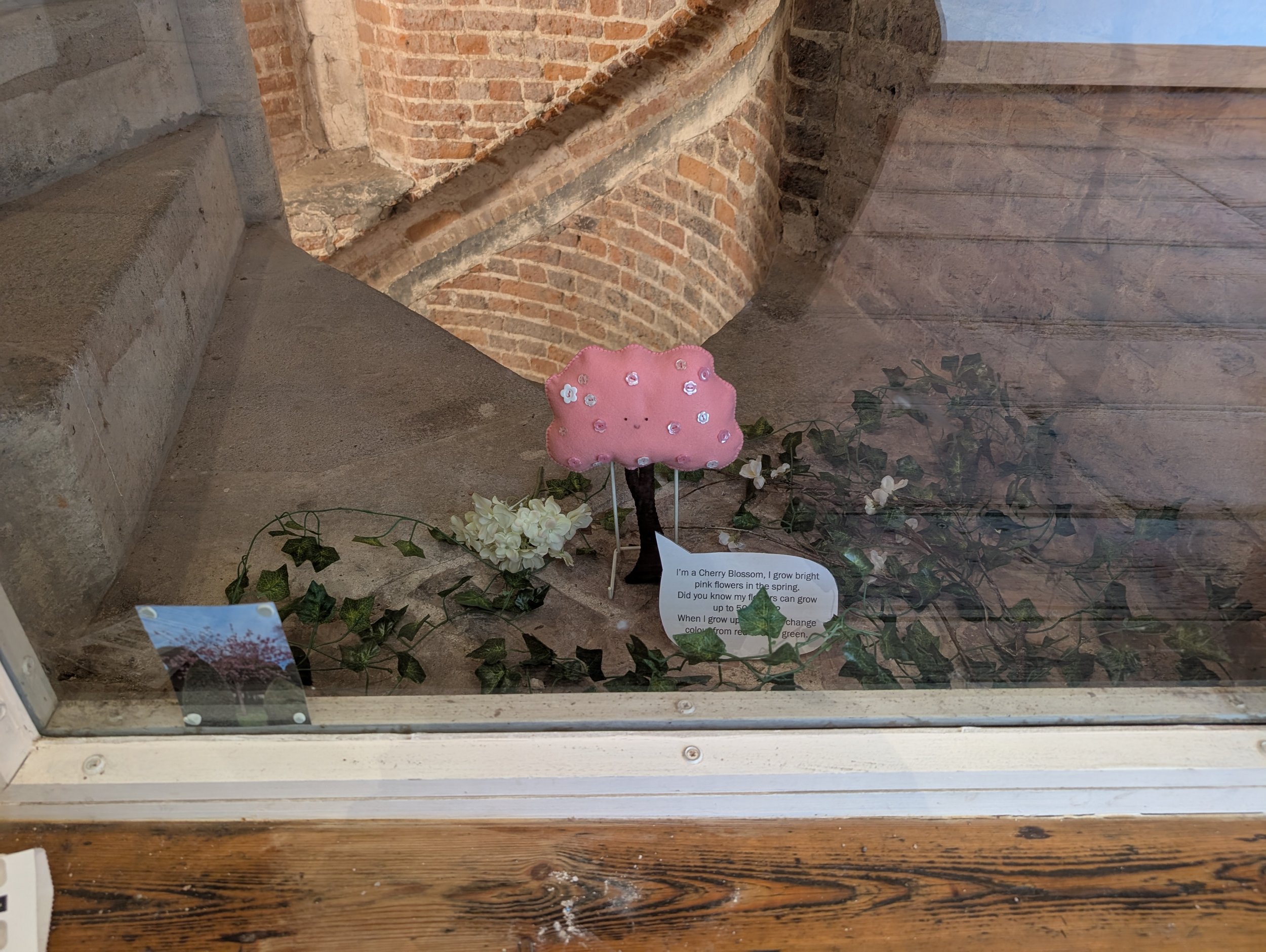 Cherry blossom display