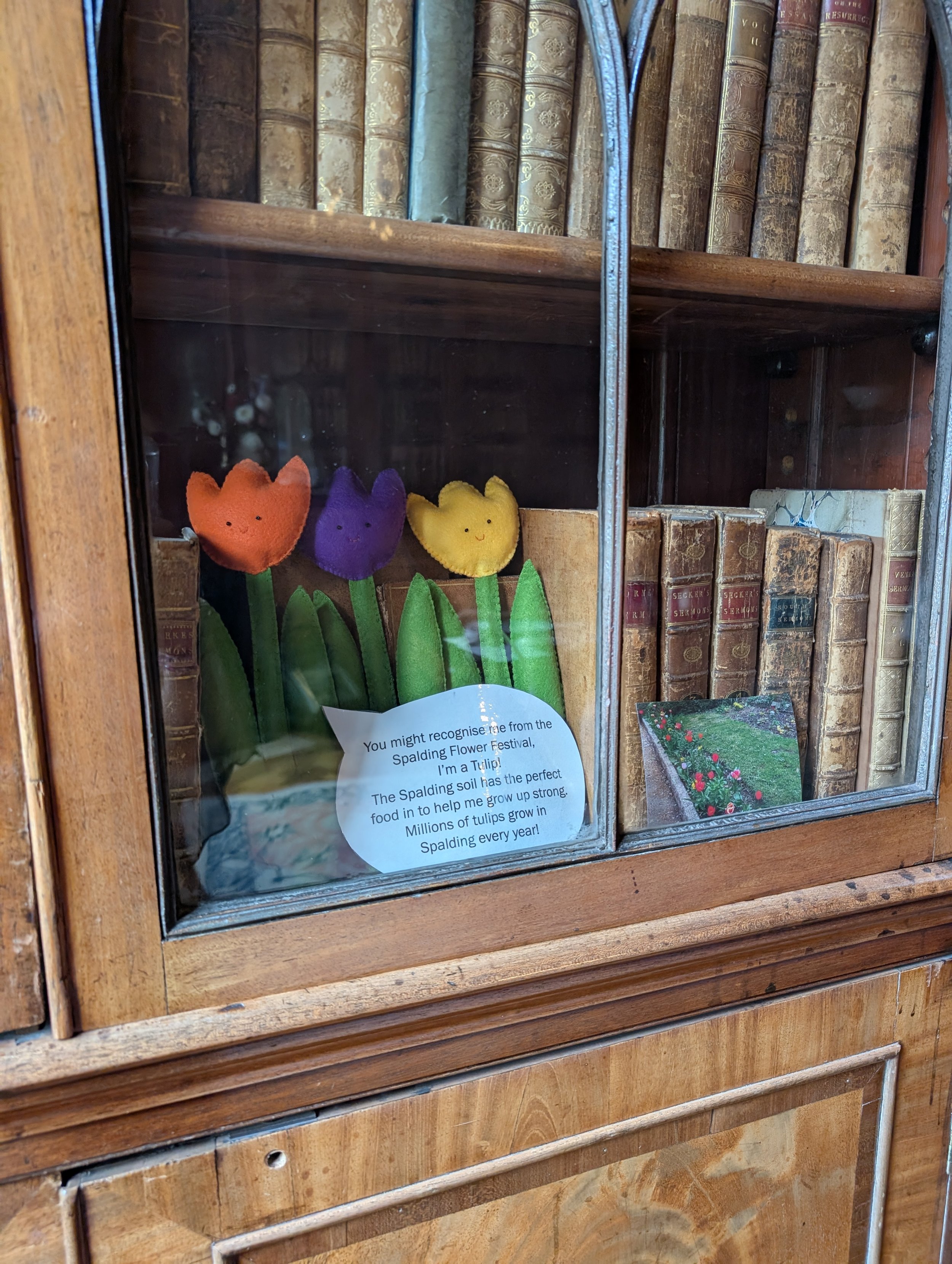 Tulip display