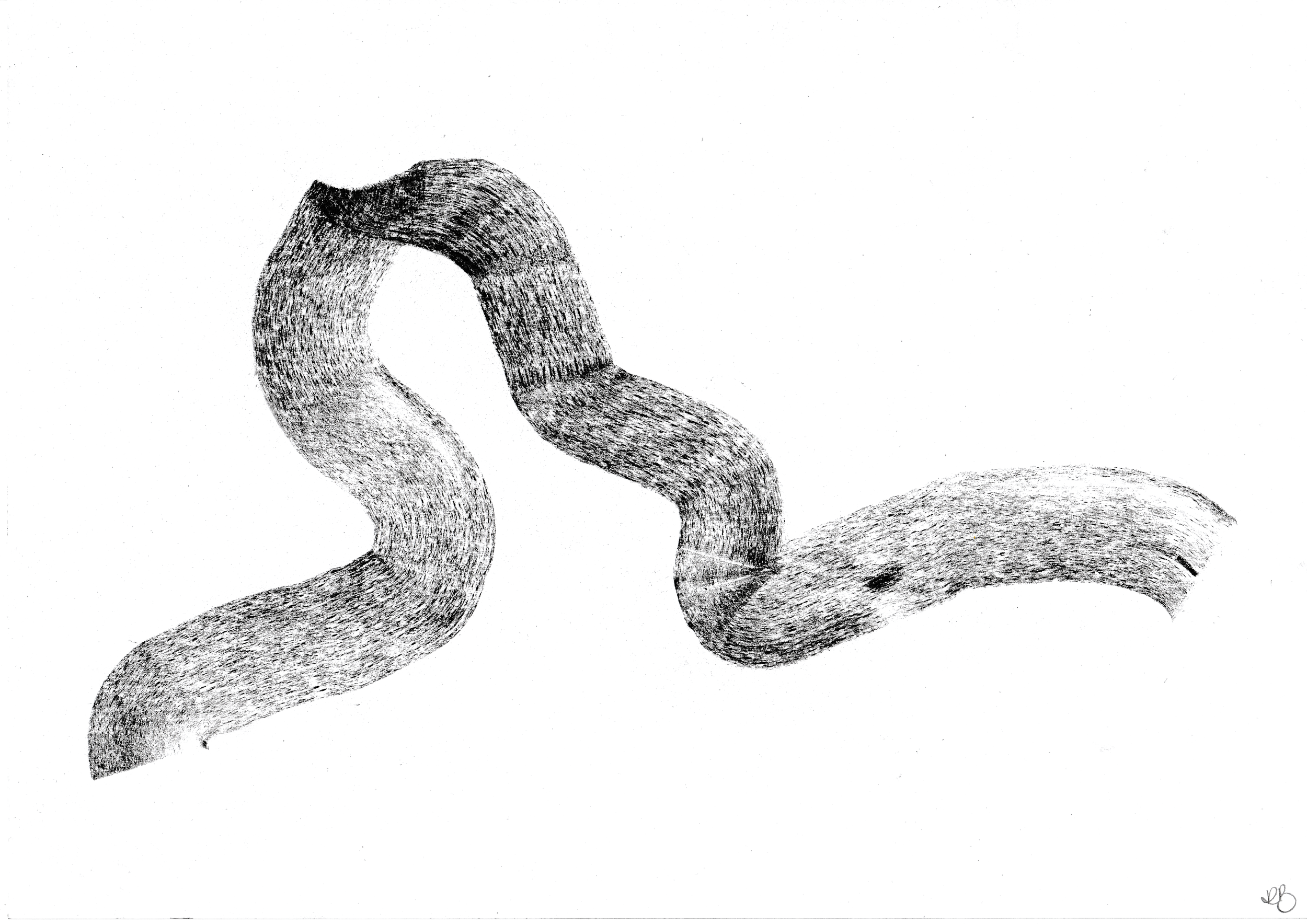 Flight Path 02 (Gull)