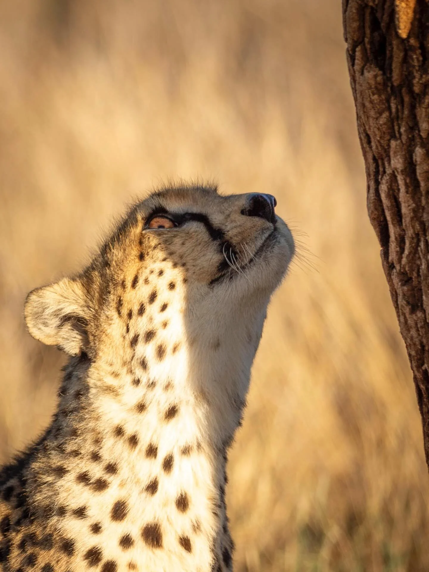 What&rsquo;s under your Christmas Tree this year? 

Wishing you all a Merry Christmas!