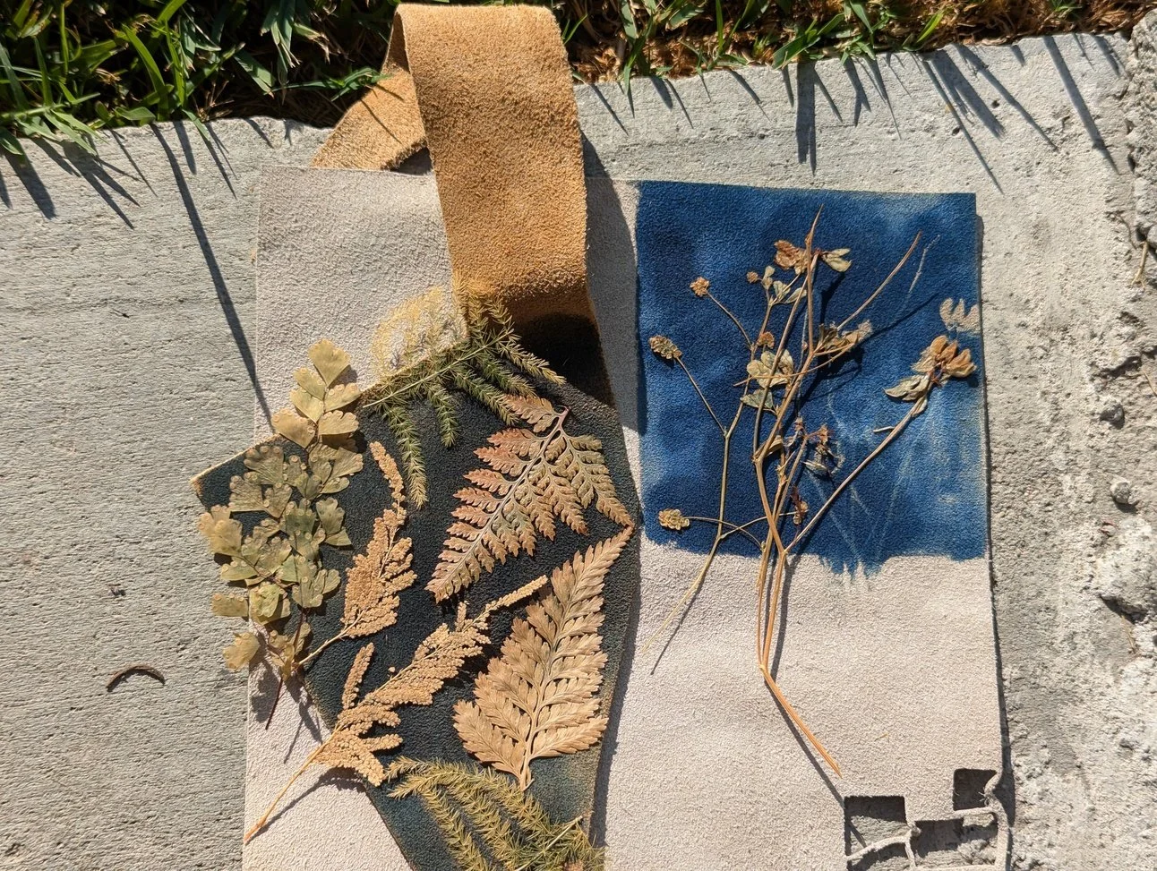 Fall in a day's work