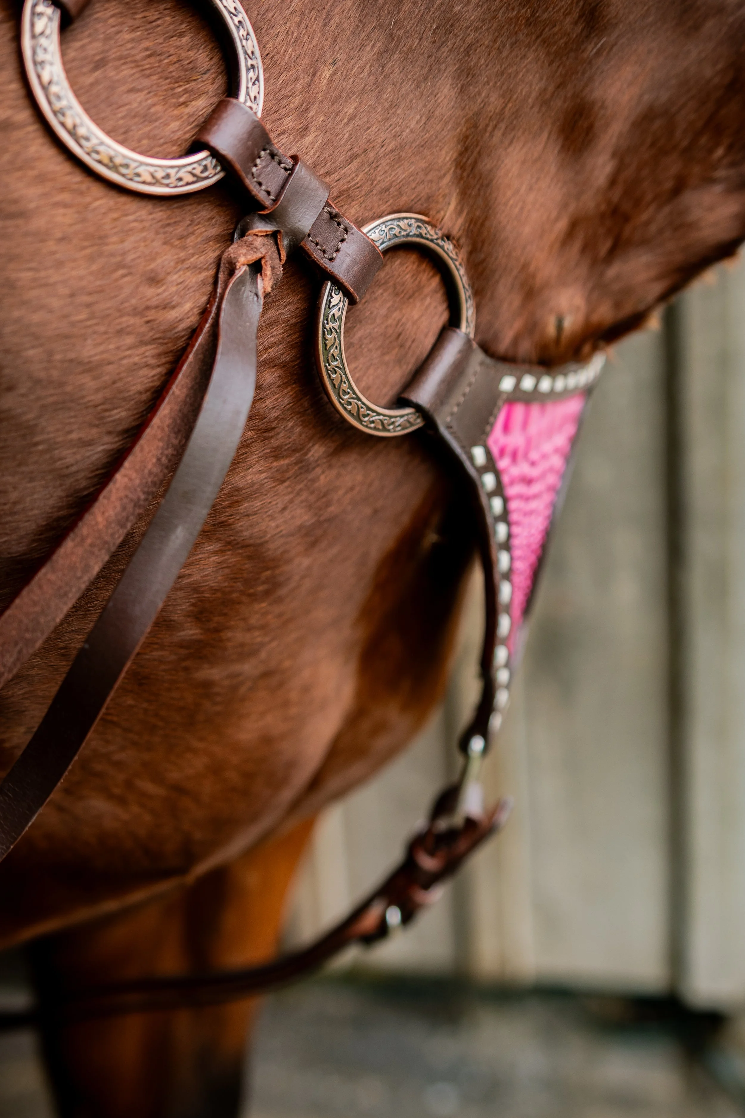 Close-up of a brown horse wearing a decorative pink and brown saddle with metal rings and straps.