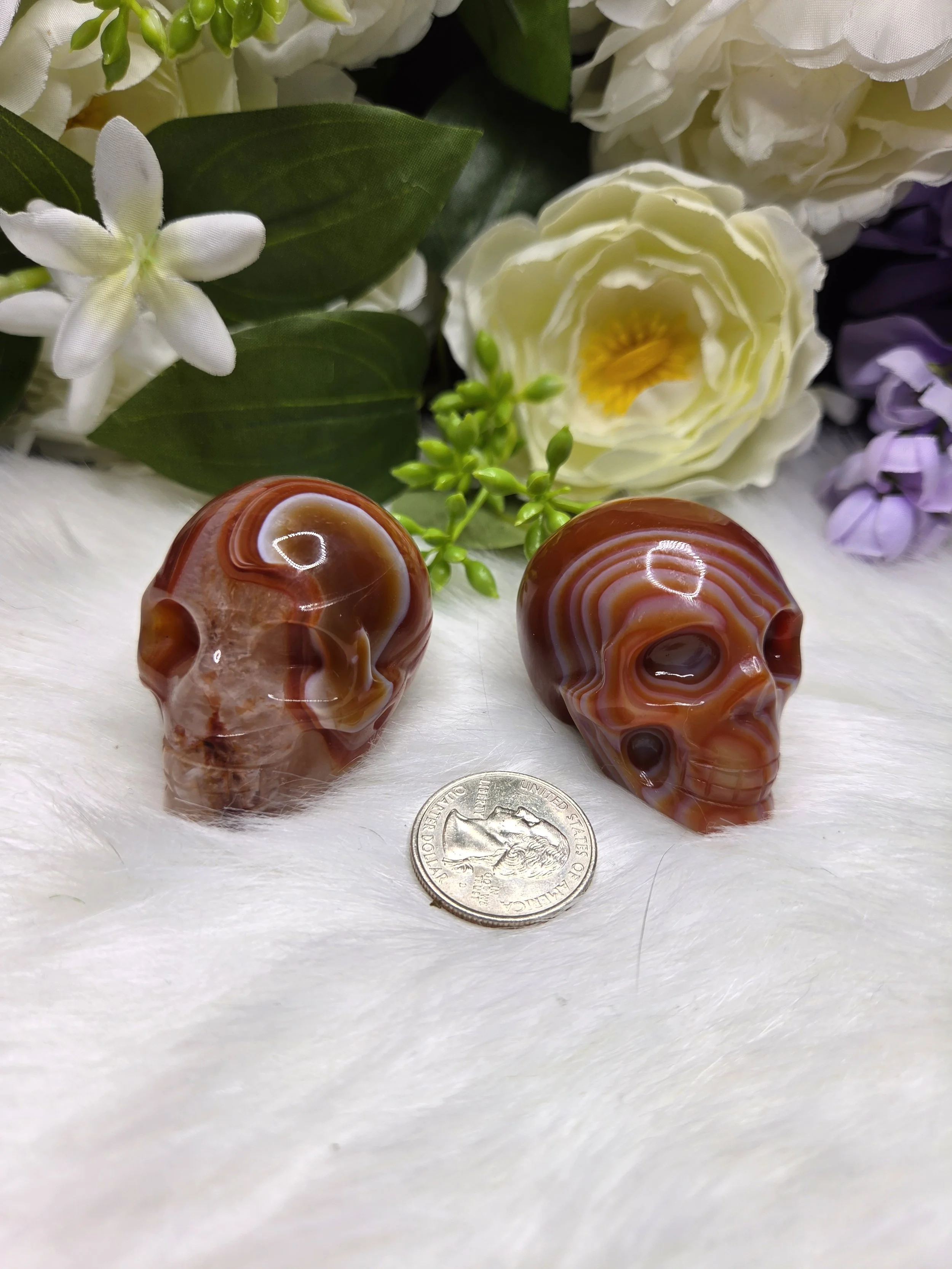 Carnelian Skulls, HQ banding