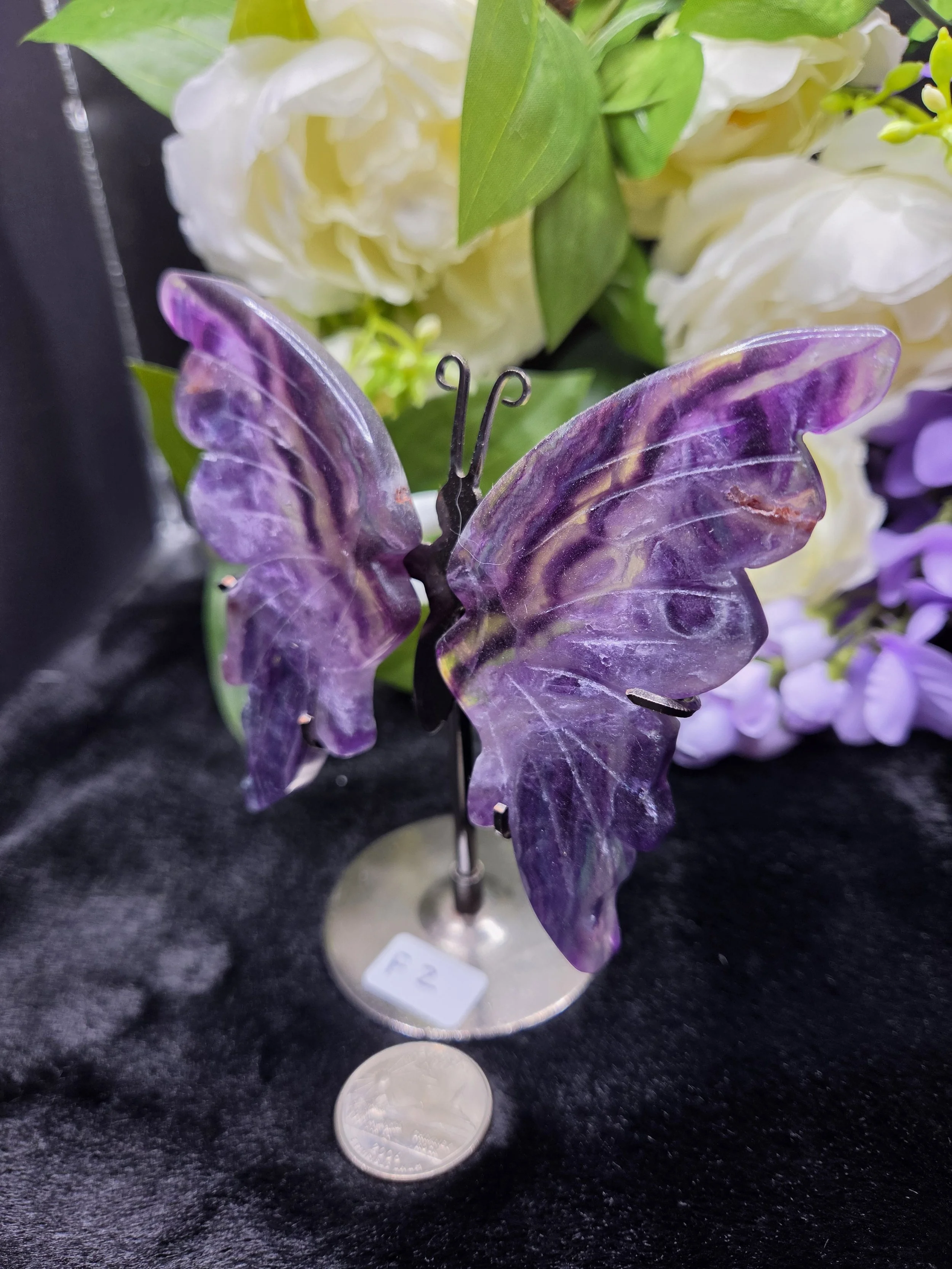 Fluorite Butterfly Wings with Stand - F2