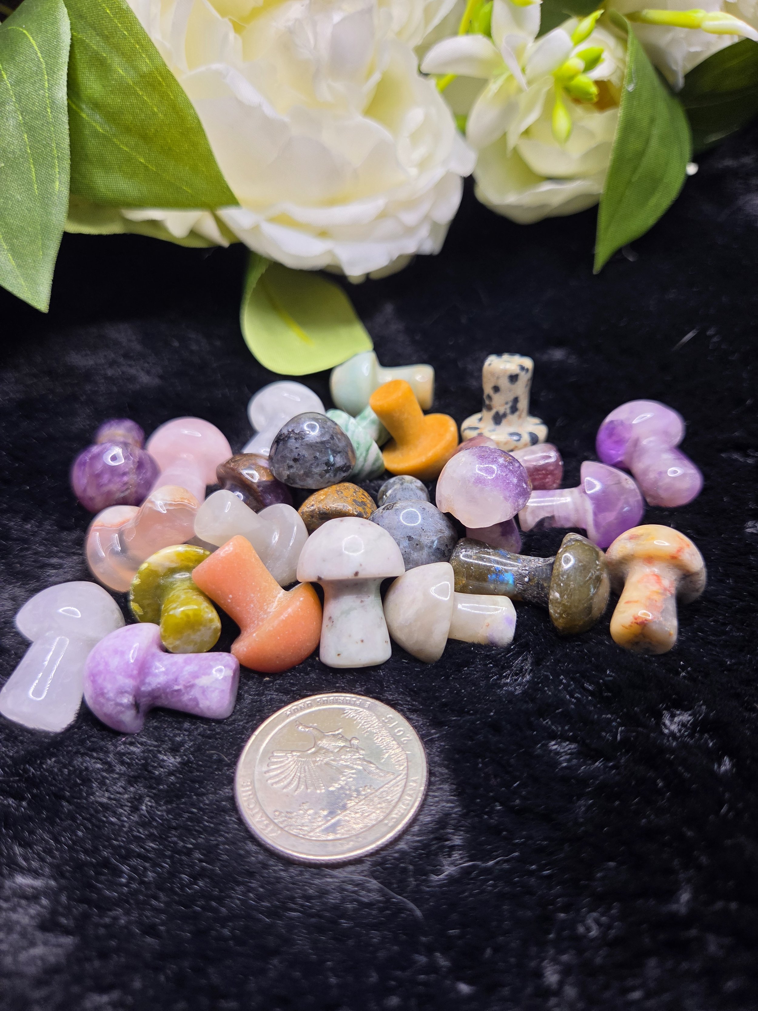 Random Pick Small Mushrooms, Assorted Materials