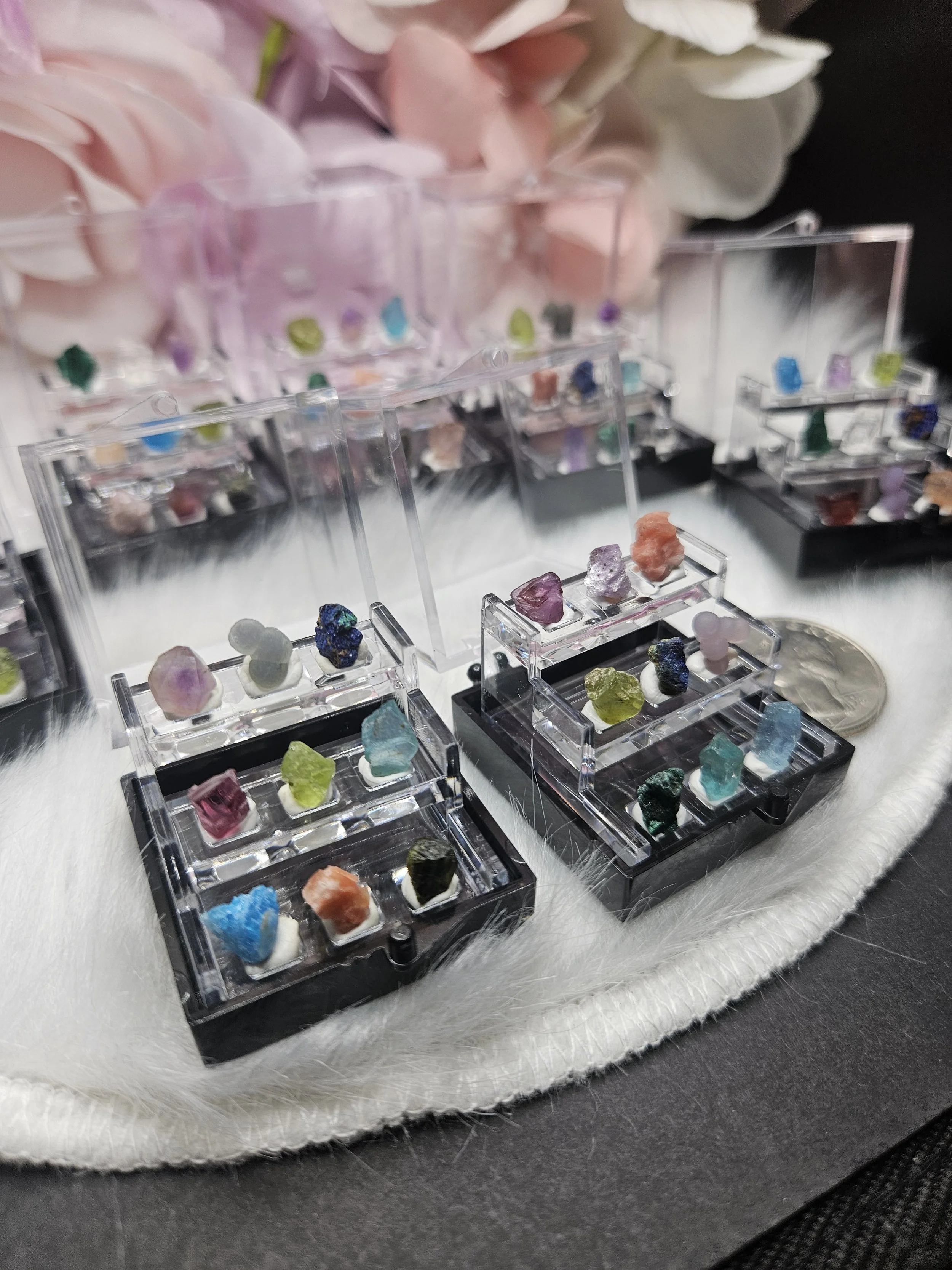 Mini Specimen Box - Random!