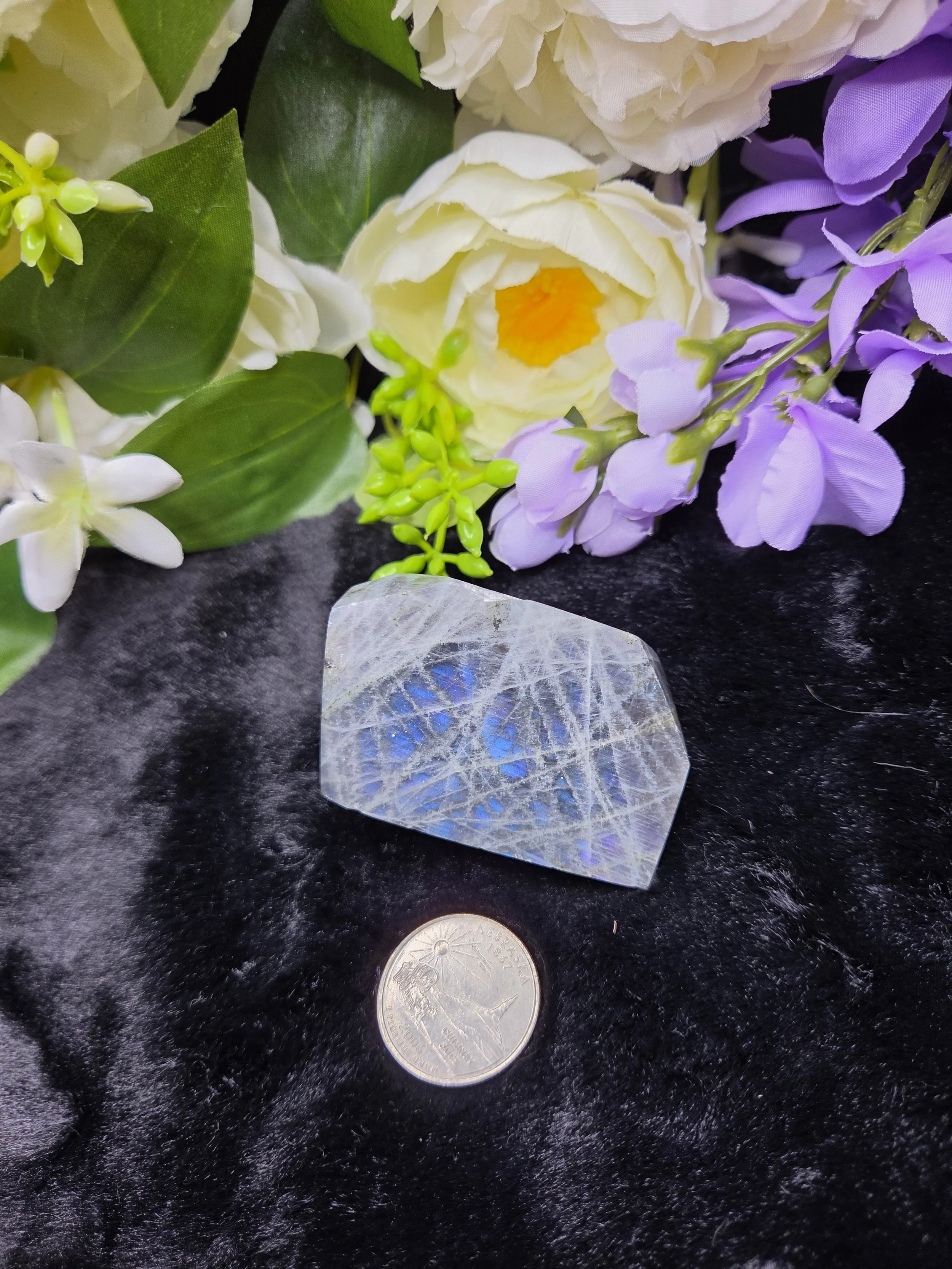 Blue Flash Labradorite Freeform - Small