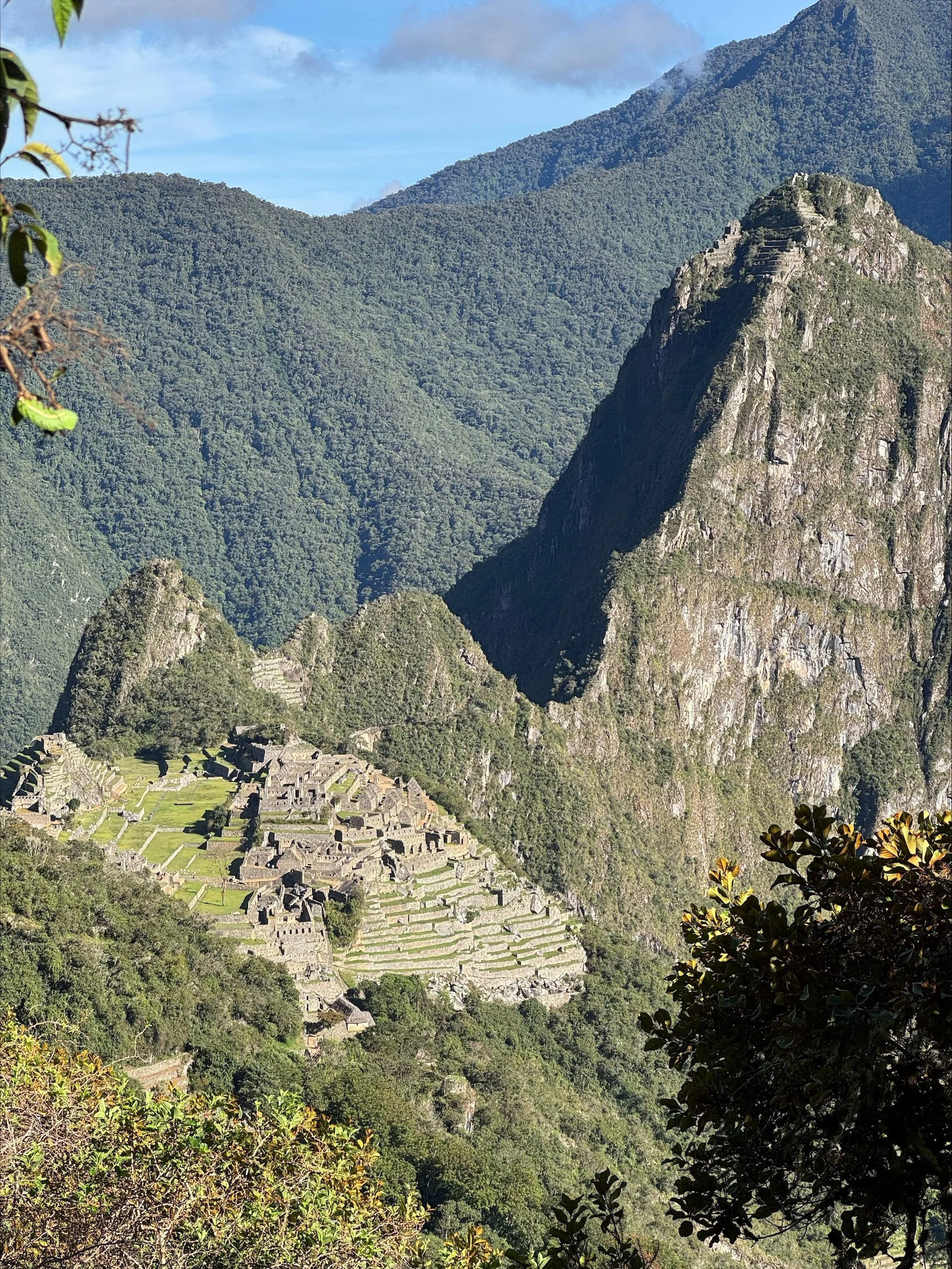 Volunteer Story — Jesal Amin, MD