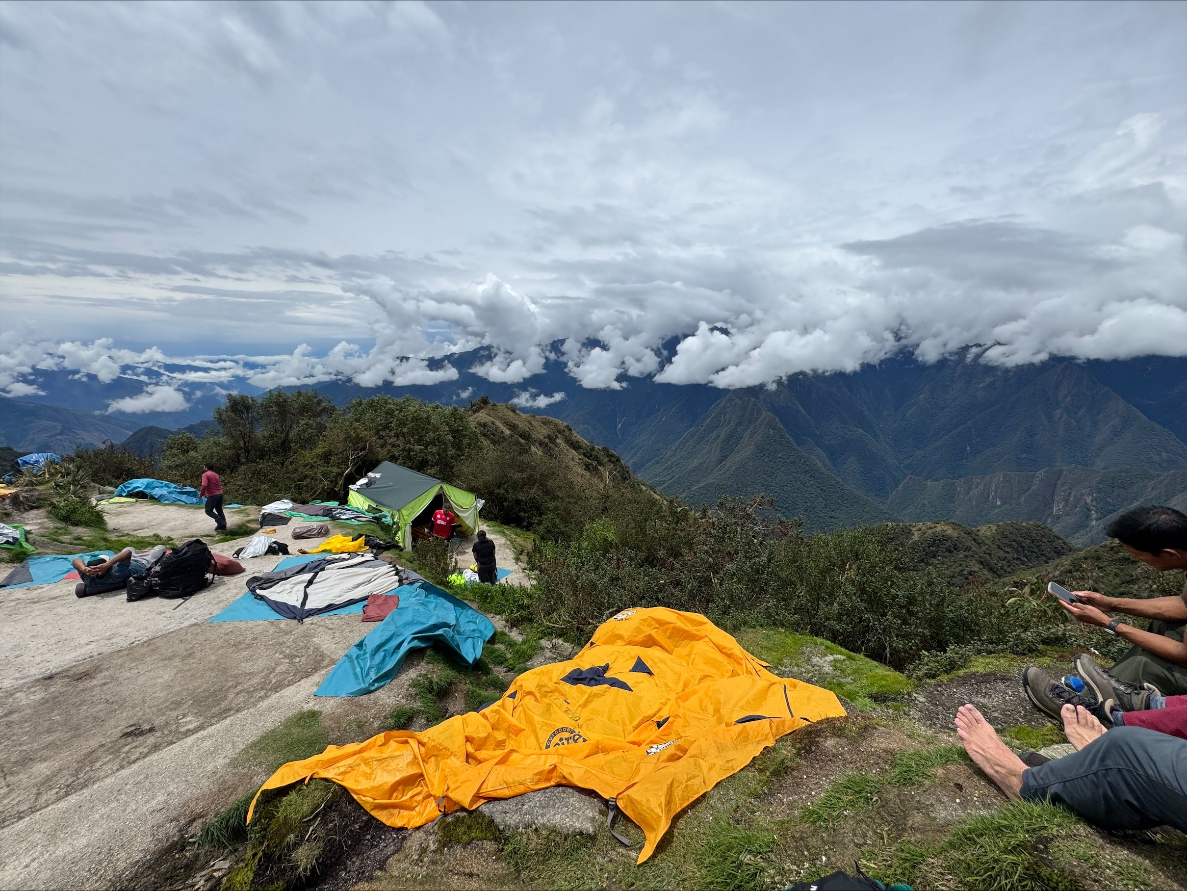 Volunteer Story — Jenn McLaughlin