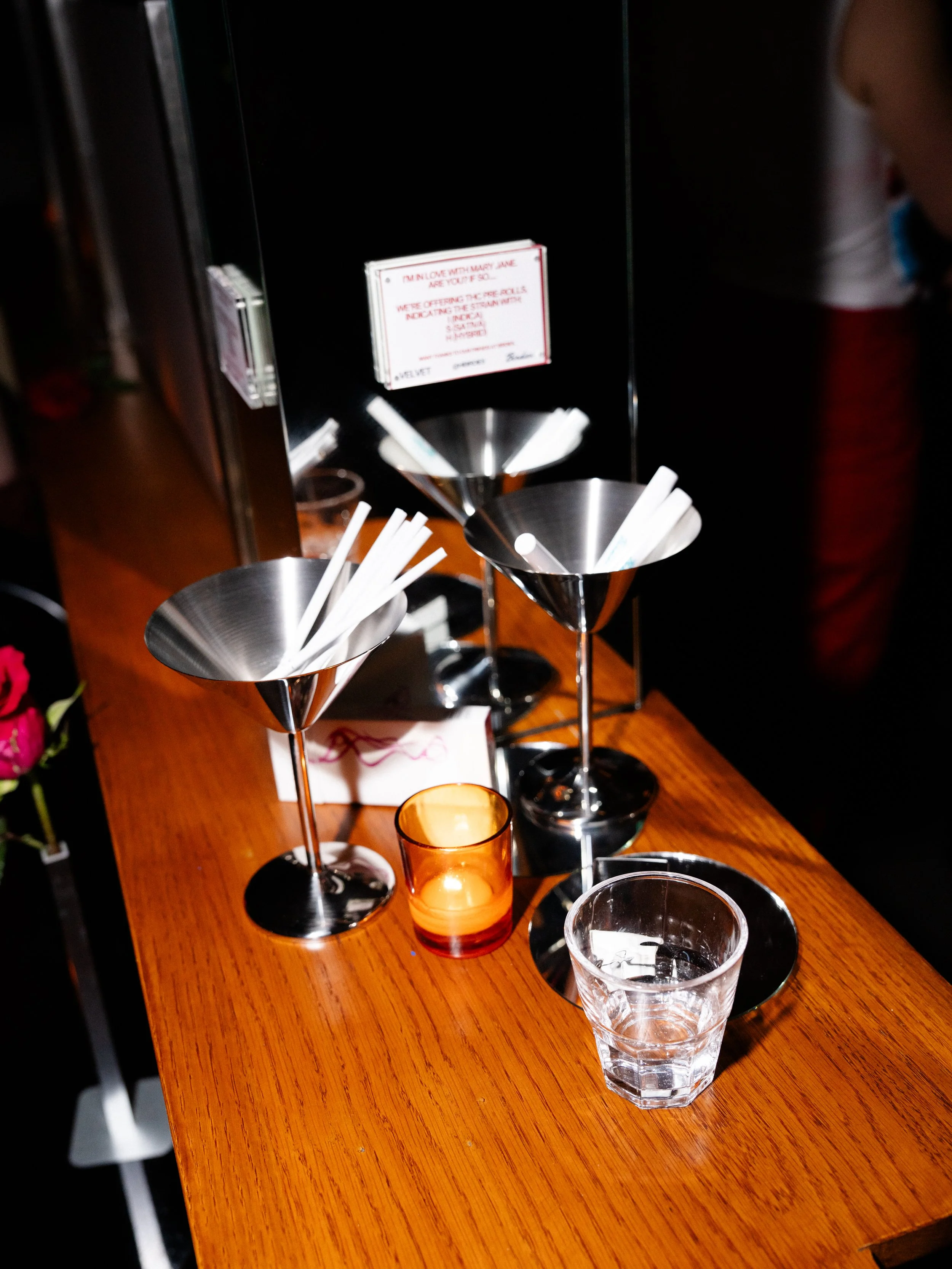 ChelseaPalatucciPhoto-VelvetDisco-2026-4.jpg